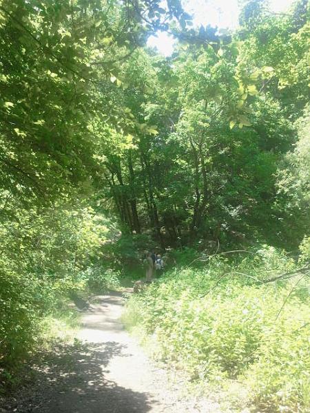2017-05-20 13.47.46.jpg